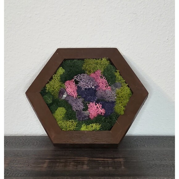 Handmade Other - Preserved Moss Wall Art Handcrafted 8x9" Hexagonal Wooden Frame
